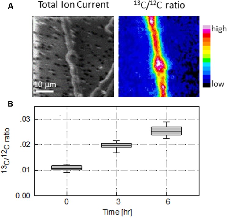 FIGURE 4