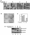 FIG. 6.