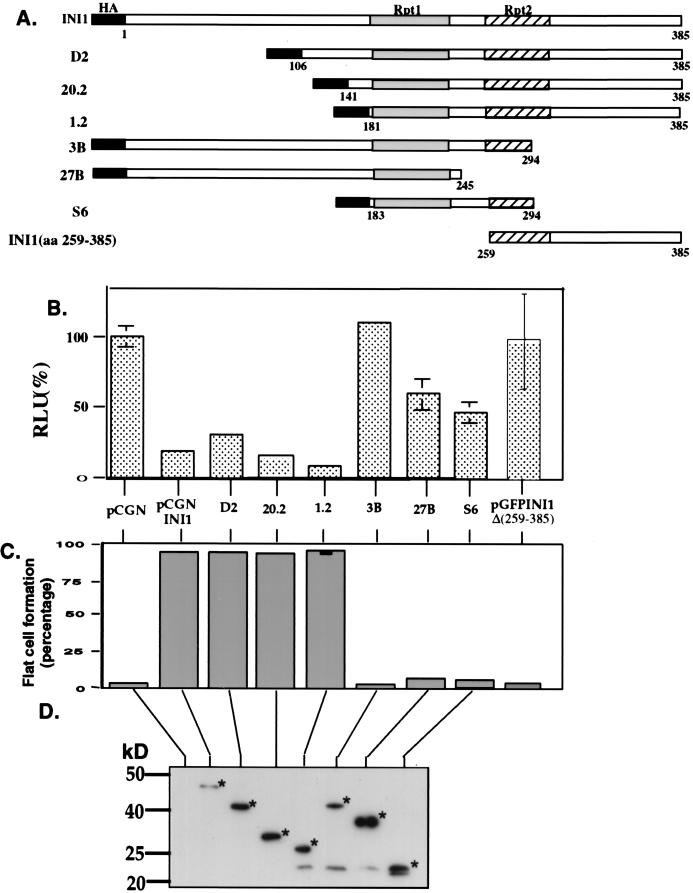 FIG. 5.