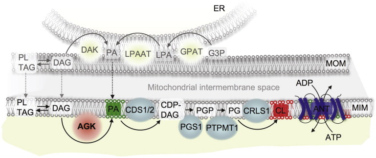 Figure 3