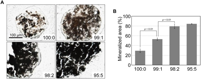 Fig 8