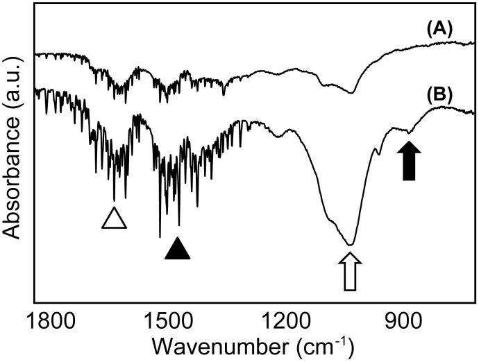 Fig 11