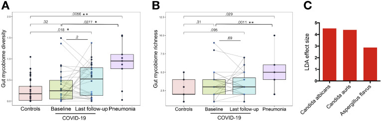 Figure 4