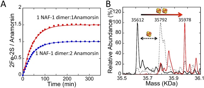 Fig 6