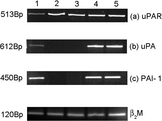 Fig 4.