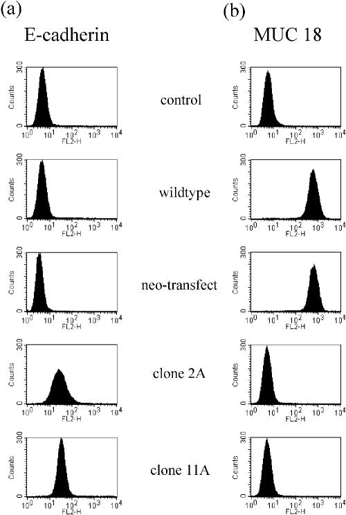 Fig 2.