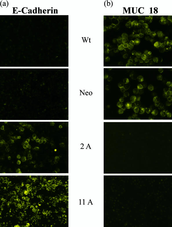 Fig 3.