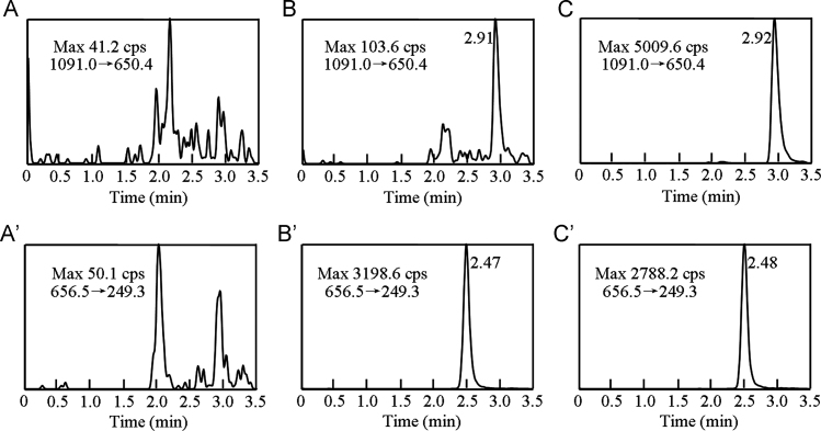 Fig. 3