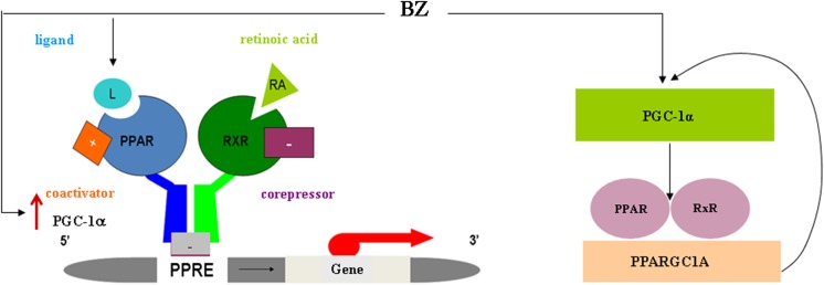 Fig. 9