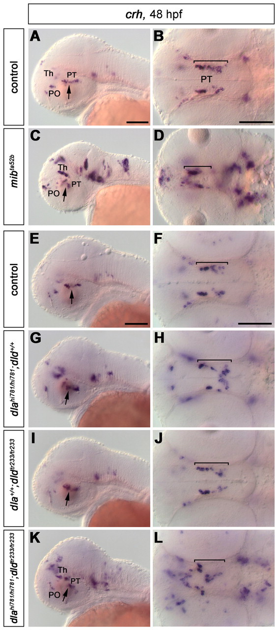 Figure 9.