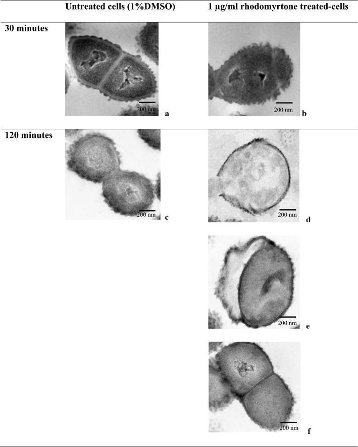 Fig. 6