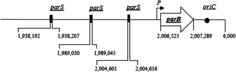 Fig. 1