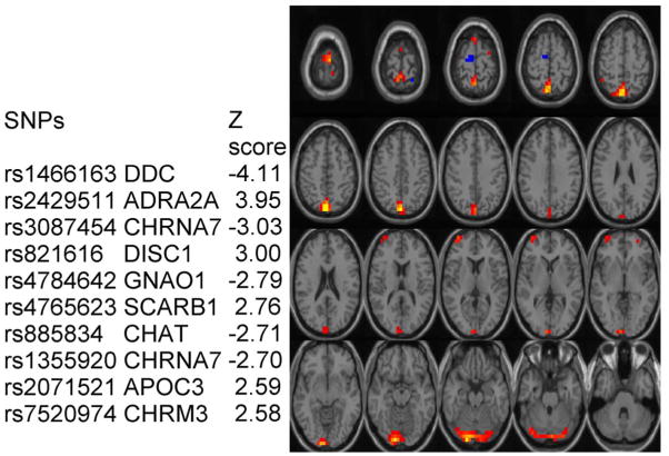 Fig. 1