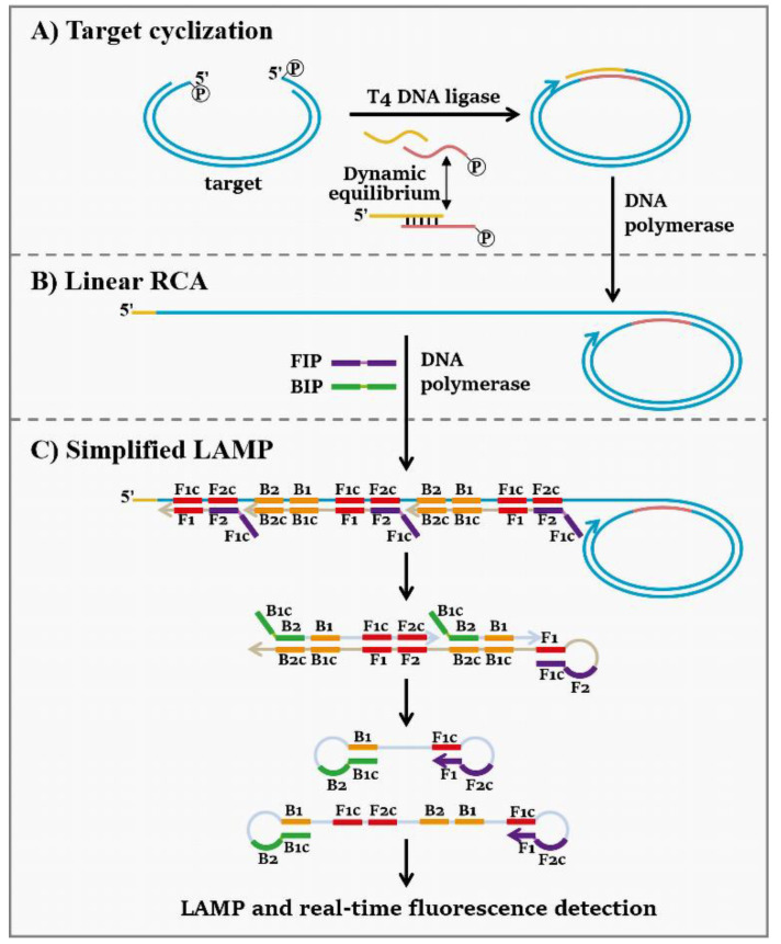 Scheme 1