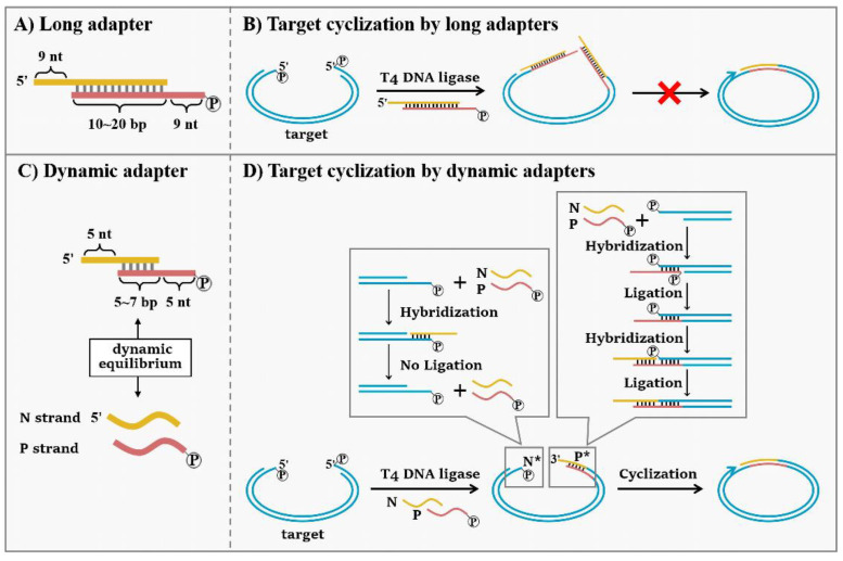 Scheme 2