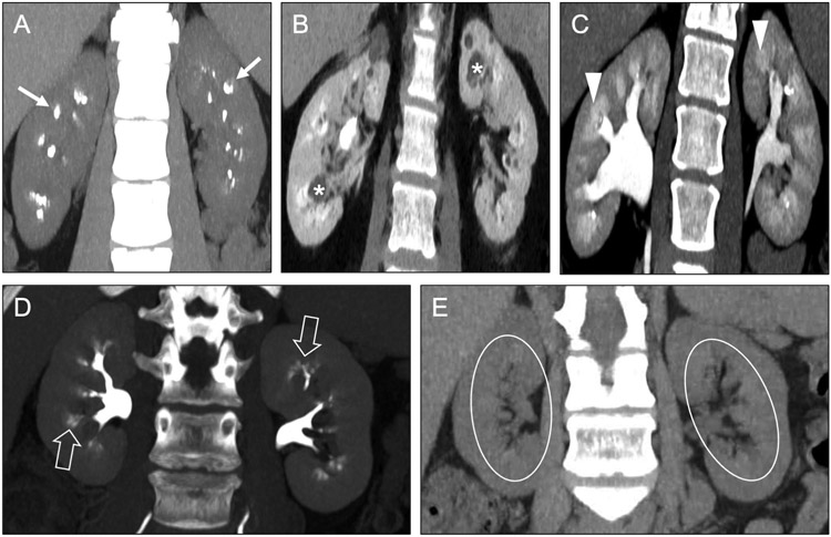 Fig 4.