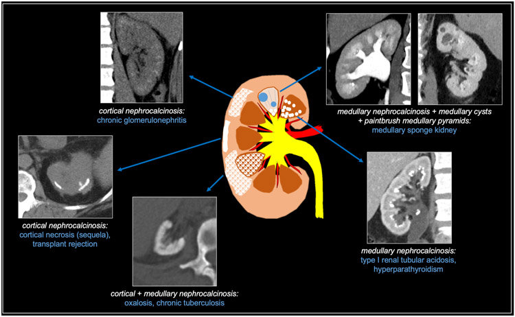 Fig 2.