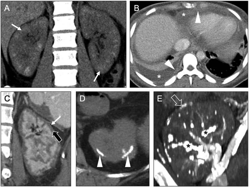 Fig 7.