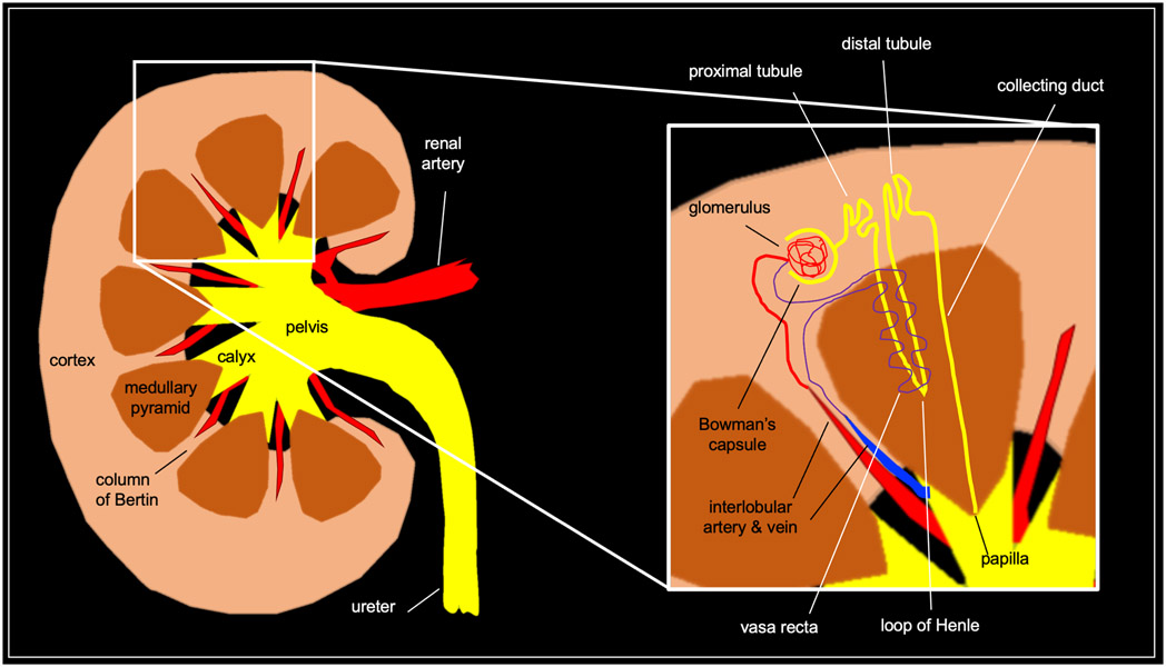 Fig 1.