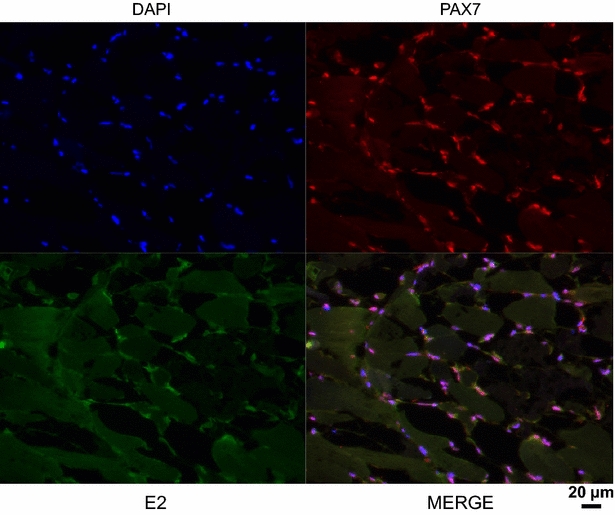 Figure 3