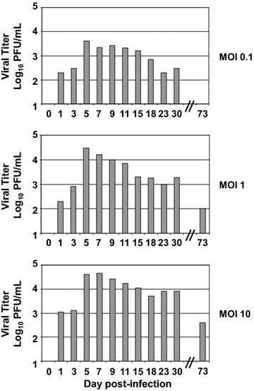 Figure 5