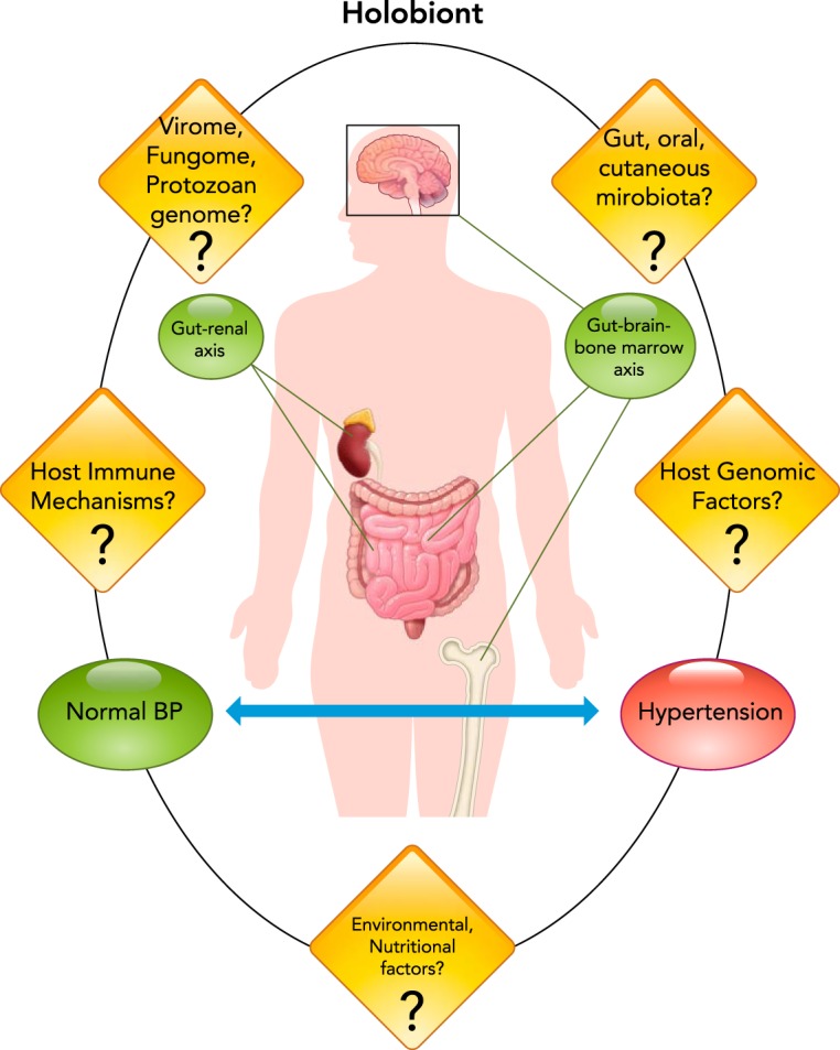 FIGURE 2.