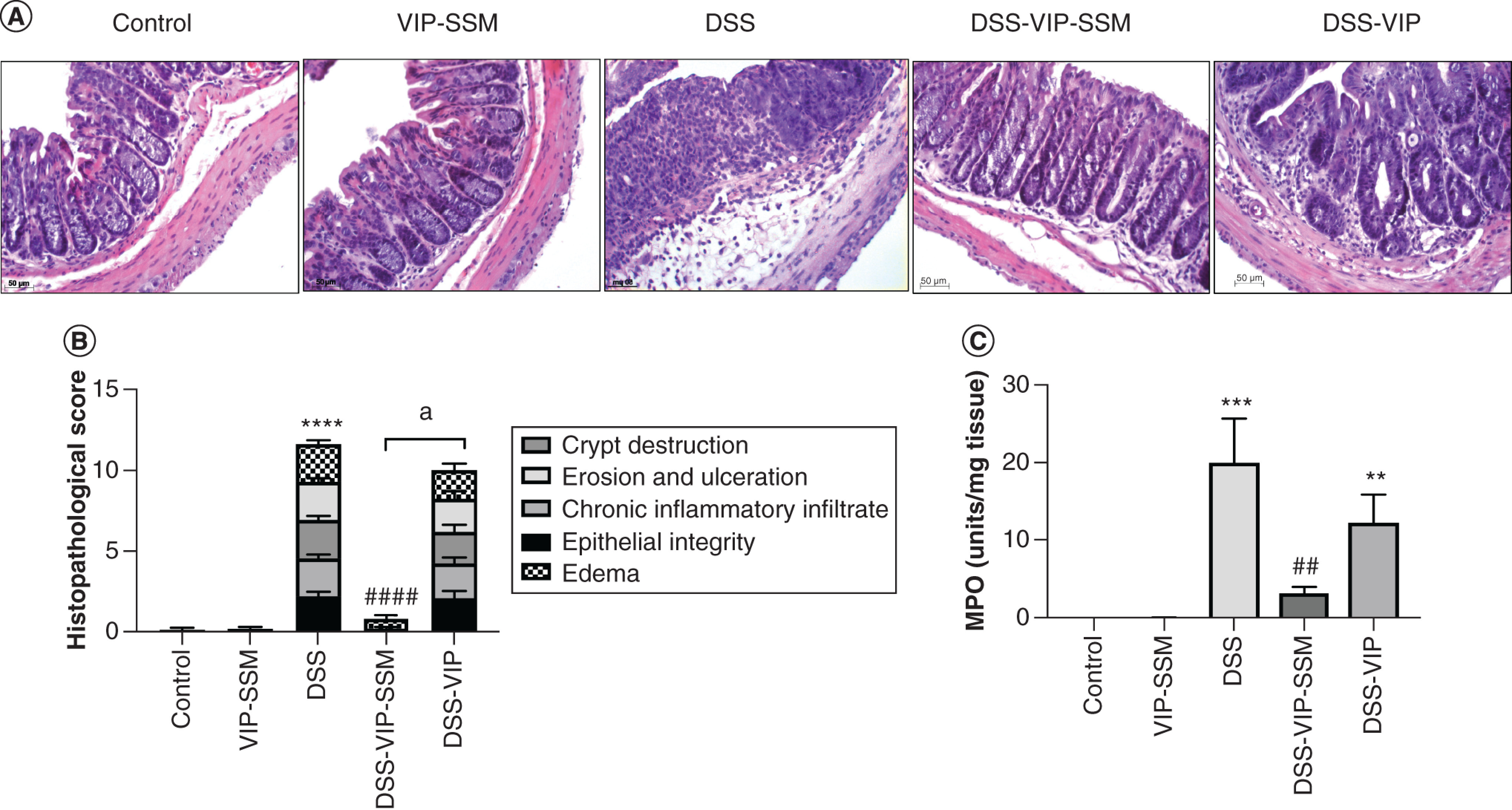 Figure 3. 