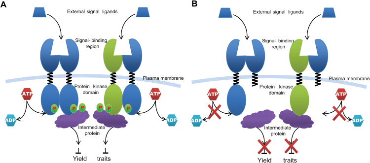 Fig. 9.