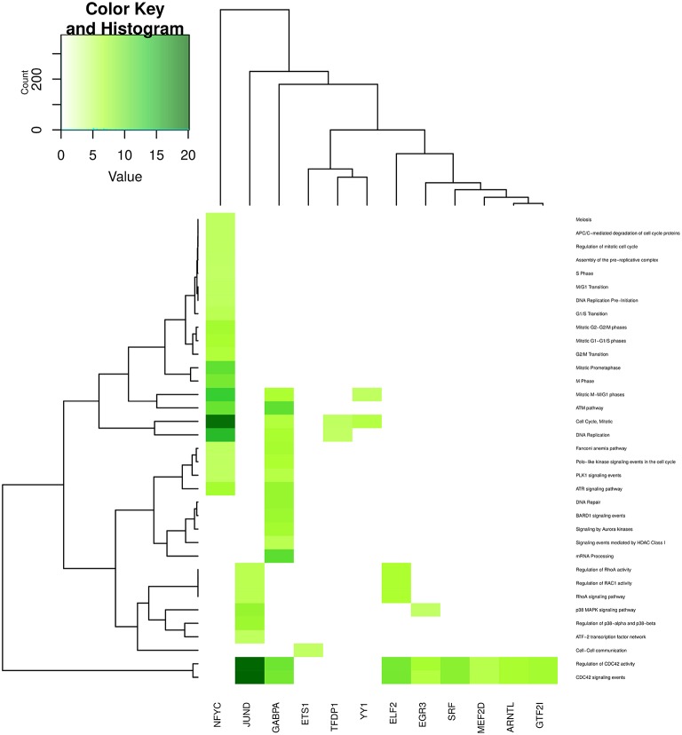 Figure 7