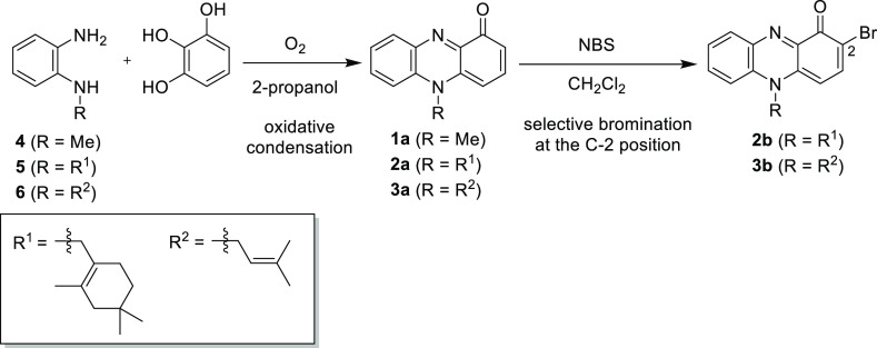 Scheme 1