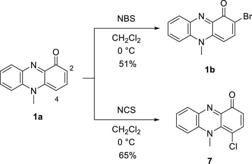 Scheme 2