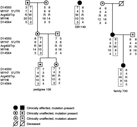 Figure  5