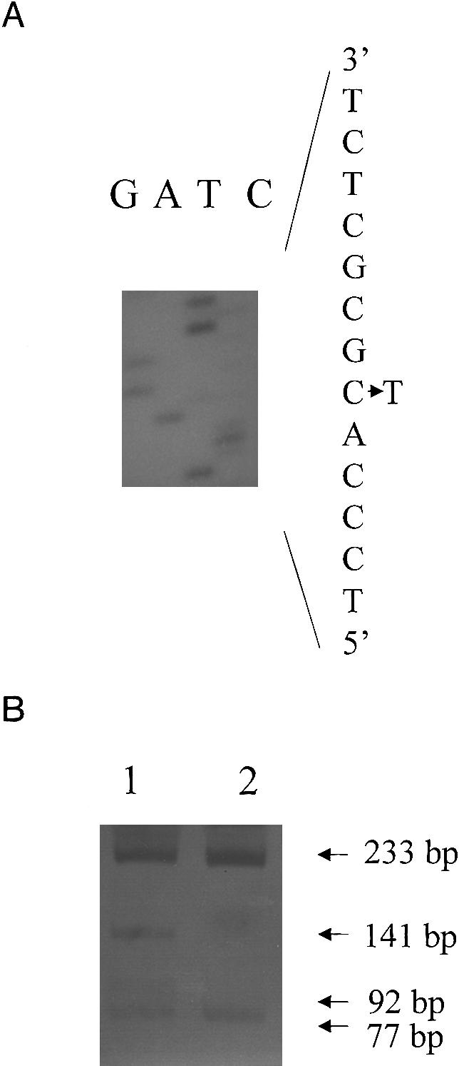 Figure  3