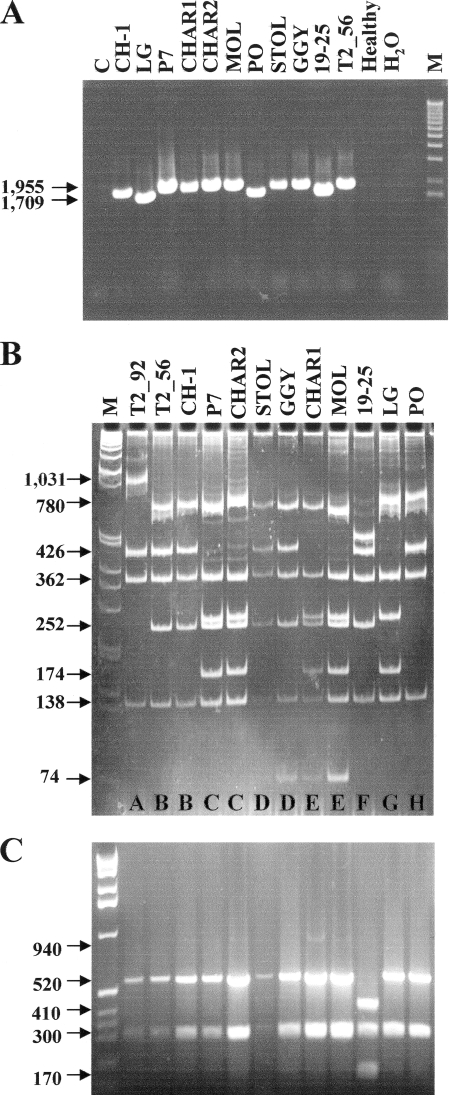 FIG. 3.