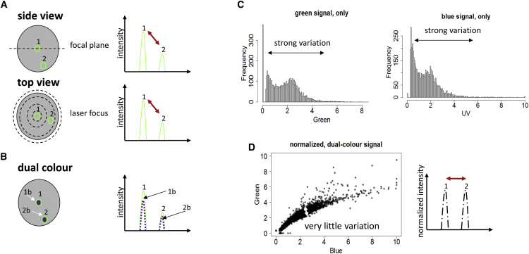 Figure 2