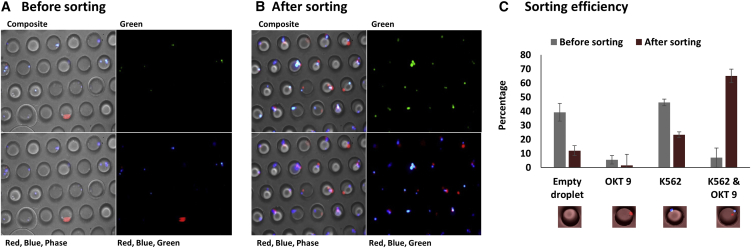 Figure 6