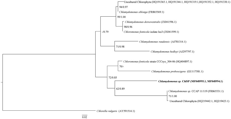 Figure 2