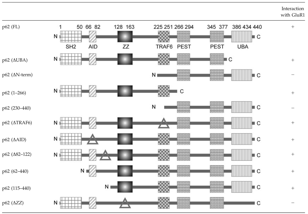 graphic file with name nihms117583t1.jpg