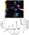 FIG. 4