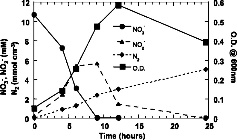 Fig. 5