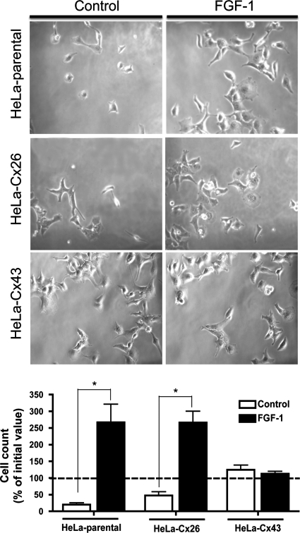 Figure 10.