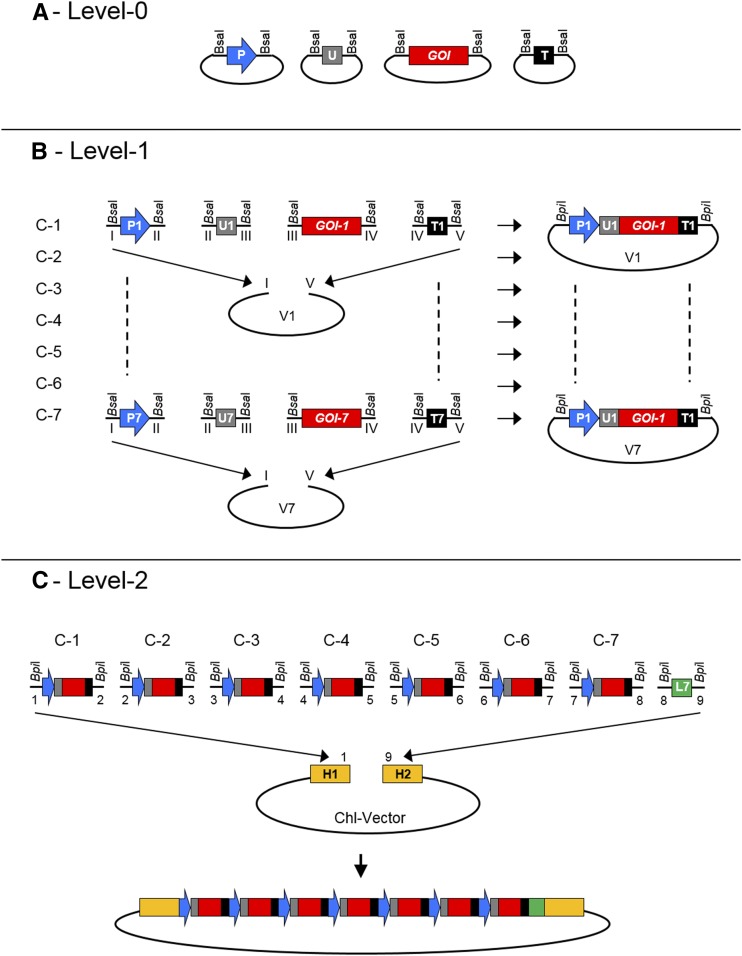 Figure 1.