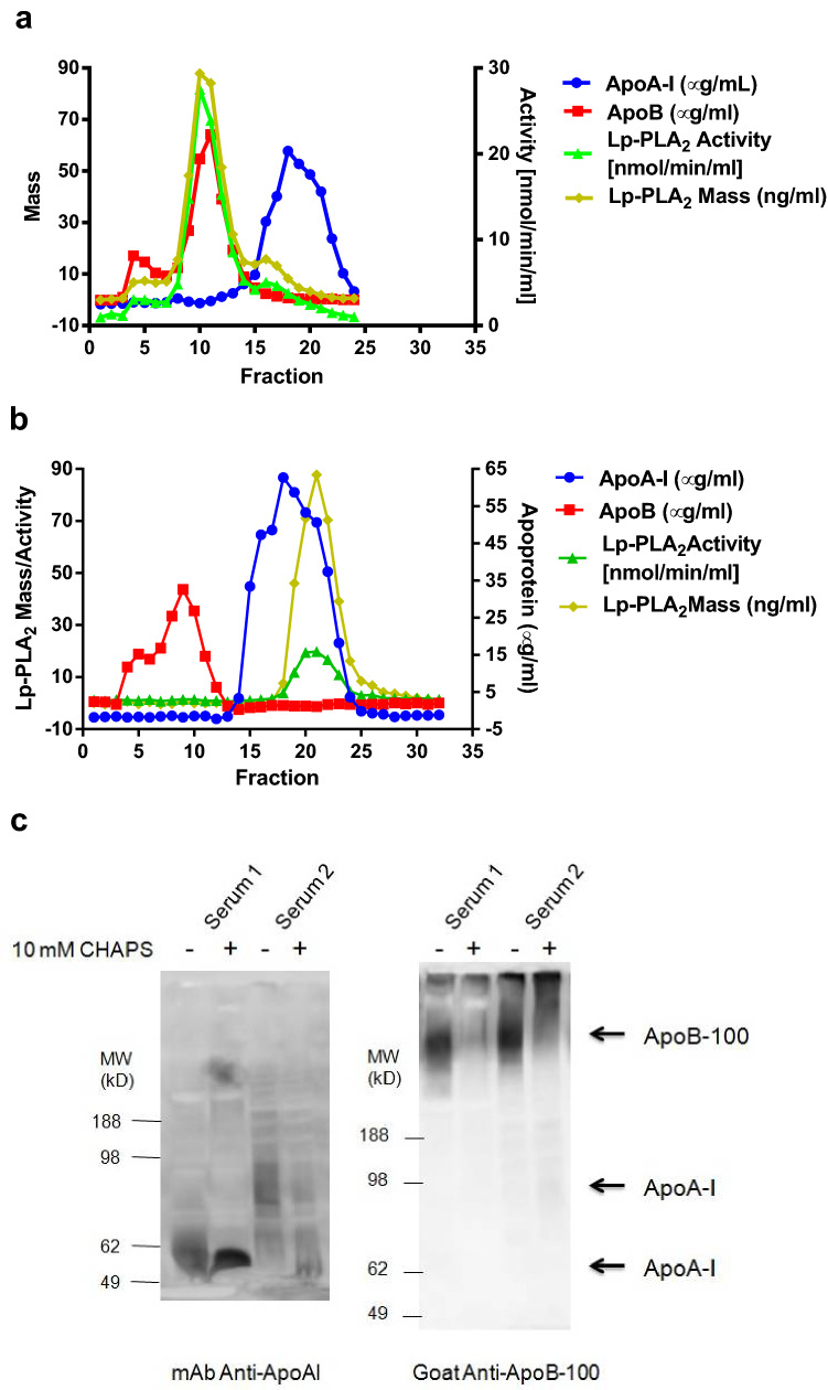 Active site competition is the mechanism for the inhibition of ...