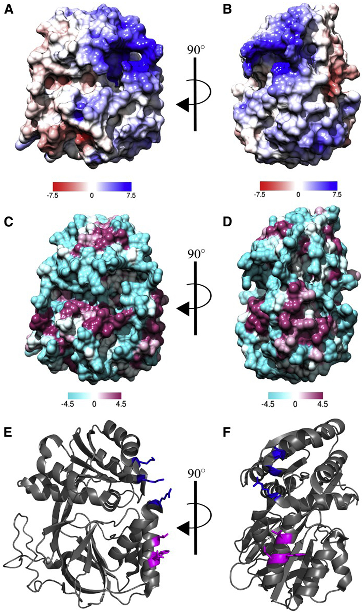 Fig. 4.