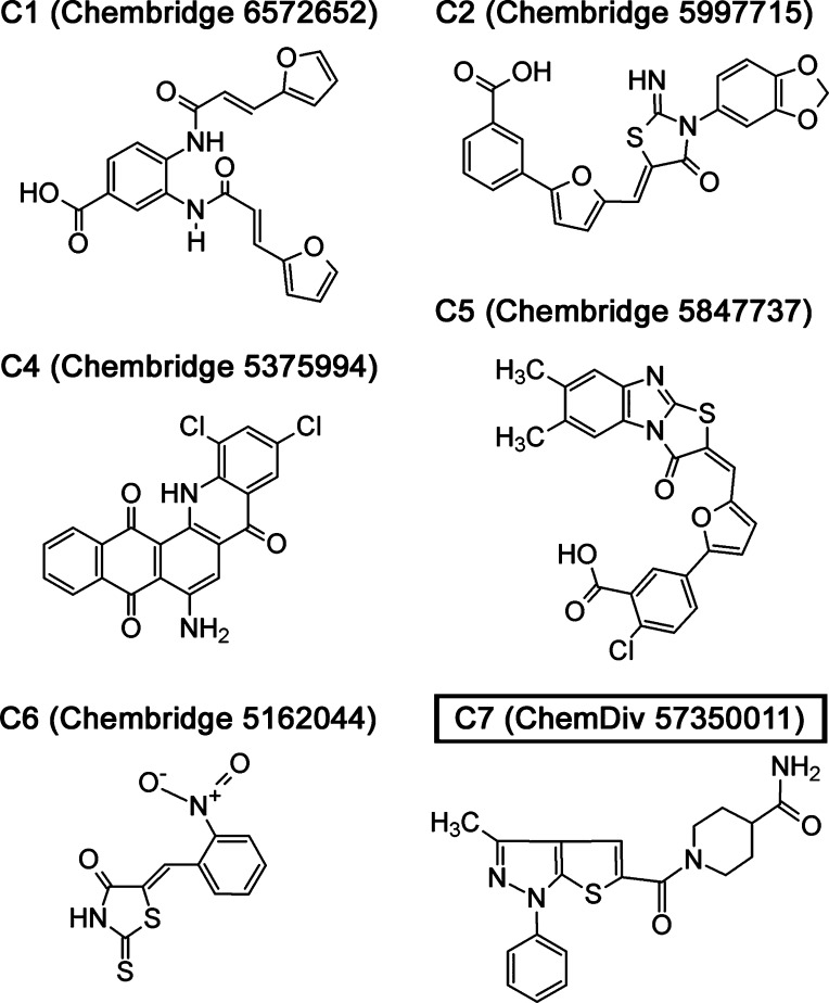 Figure 2