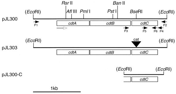 FIG. 1