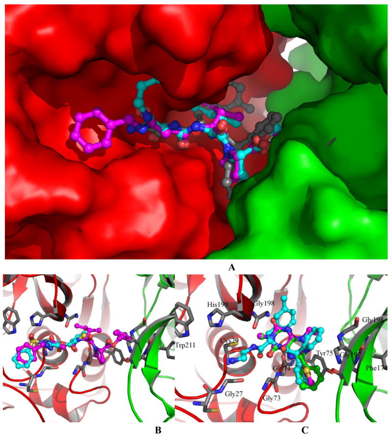 Figure 4