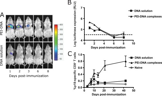 FIG. 2.