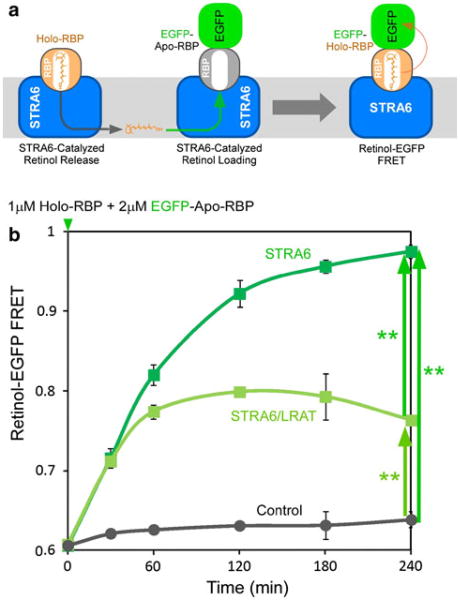 Fig. 9