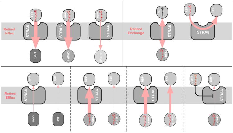 Fig. 10